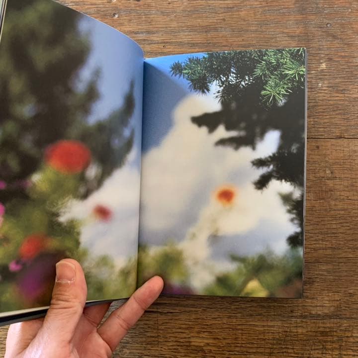 Terri Weifenbach: Another Summer 　サイン入 Terri Weifenbach: Another Summer サイン入り