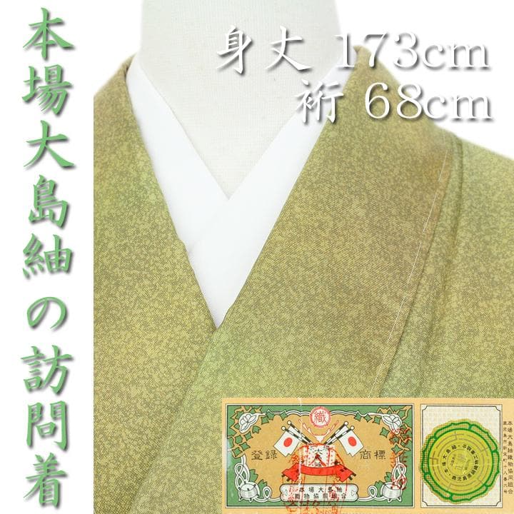 優れた価格 特選 小紋・色無地としても 優美なグラデーション 新品です