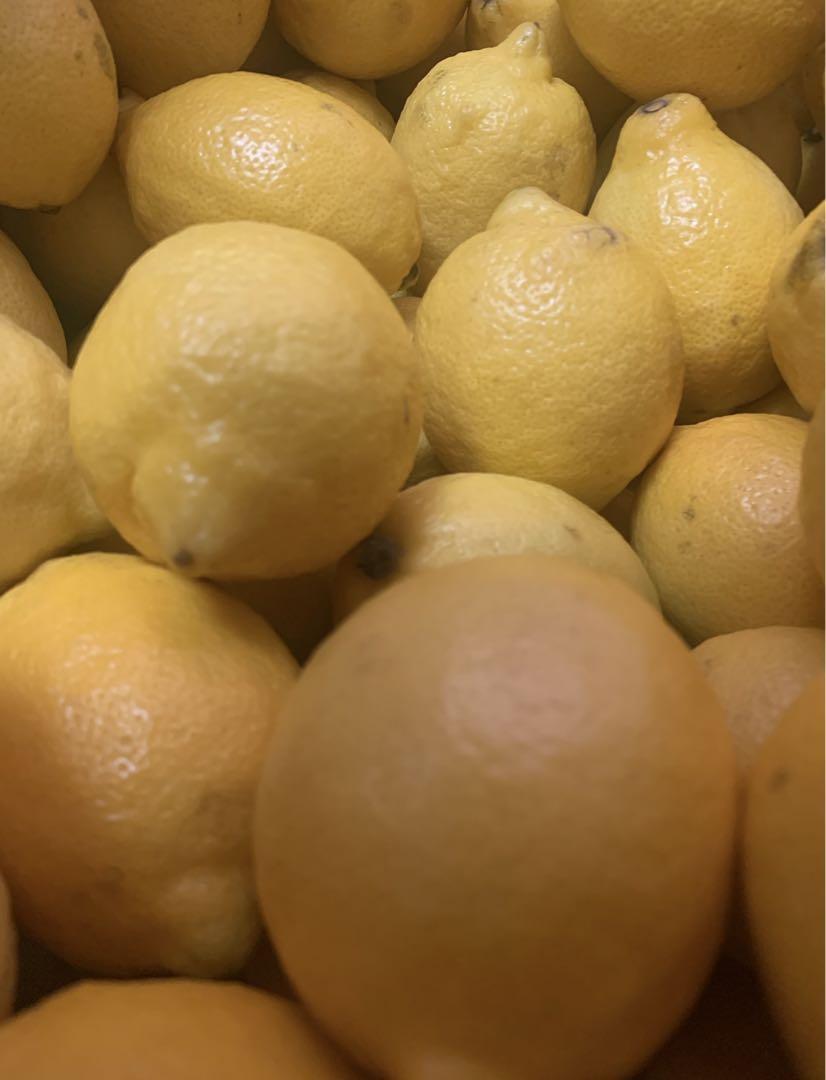 国産瀬戸田レモン10kg