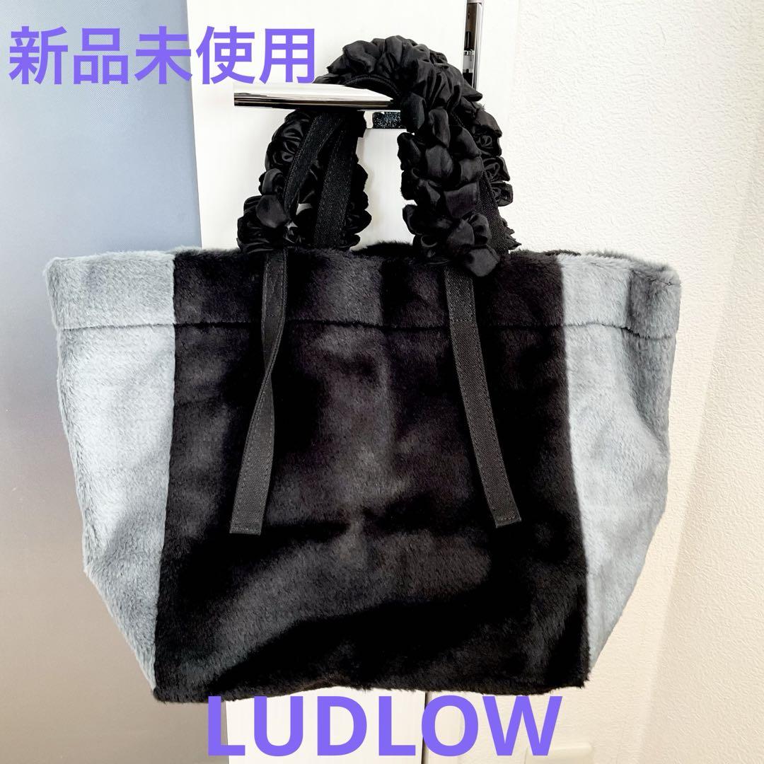 LUDLOW/ラドロー グレープハンドルバッグ トートバッグL アクアガール 画像1