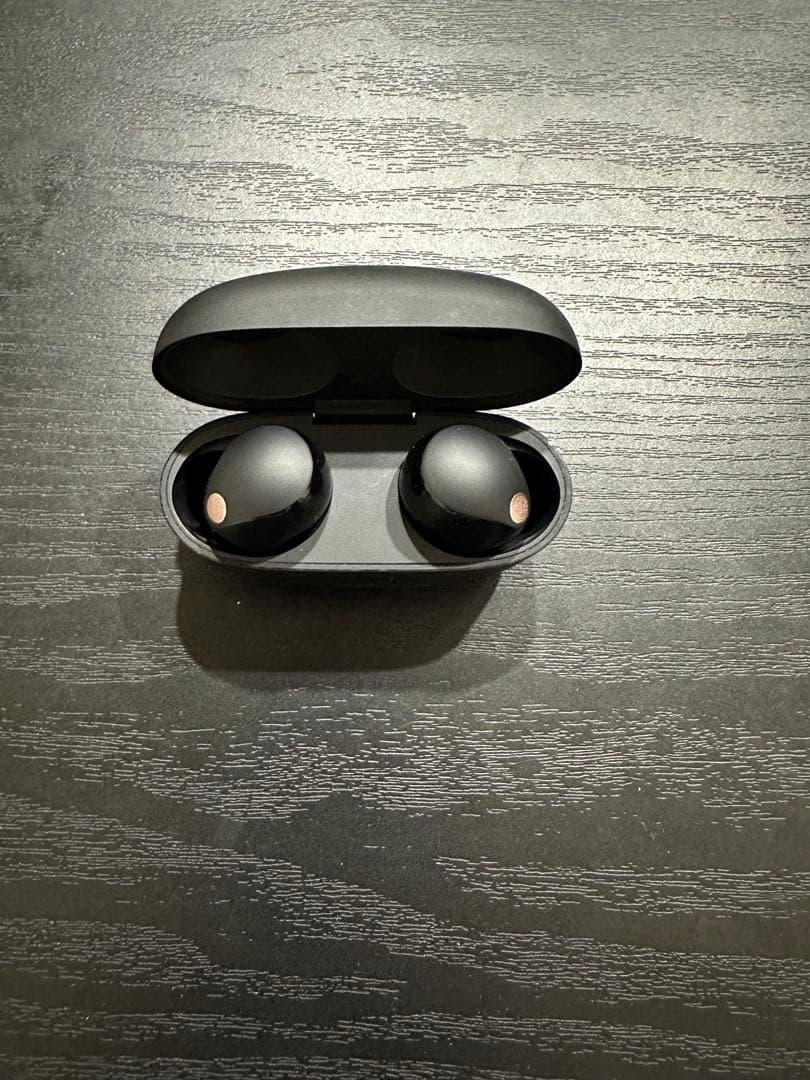 WF-1000XM5 WF-1000XM5