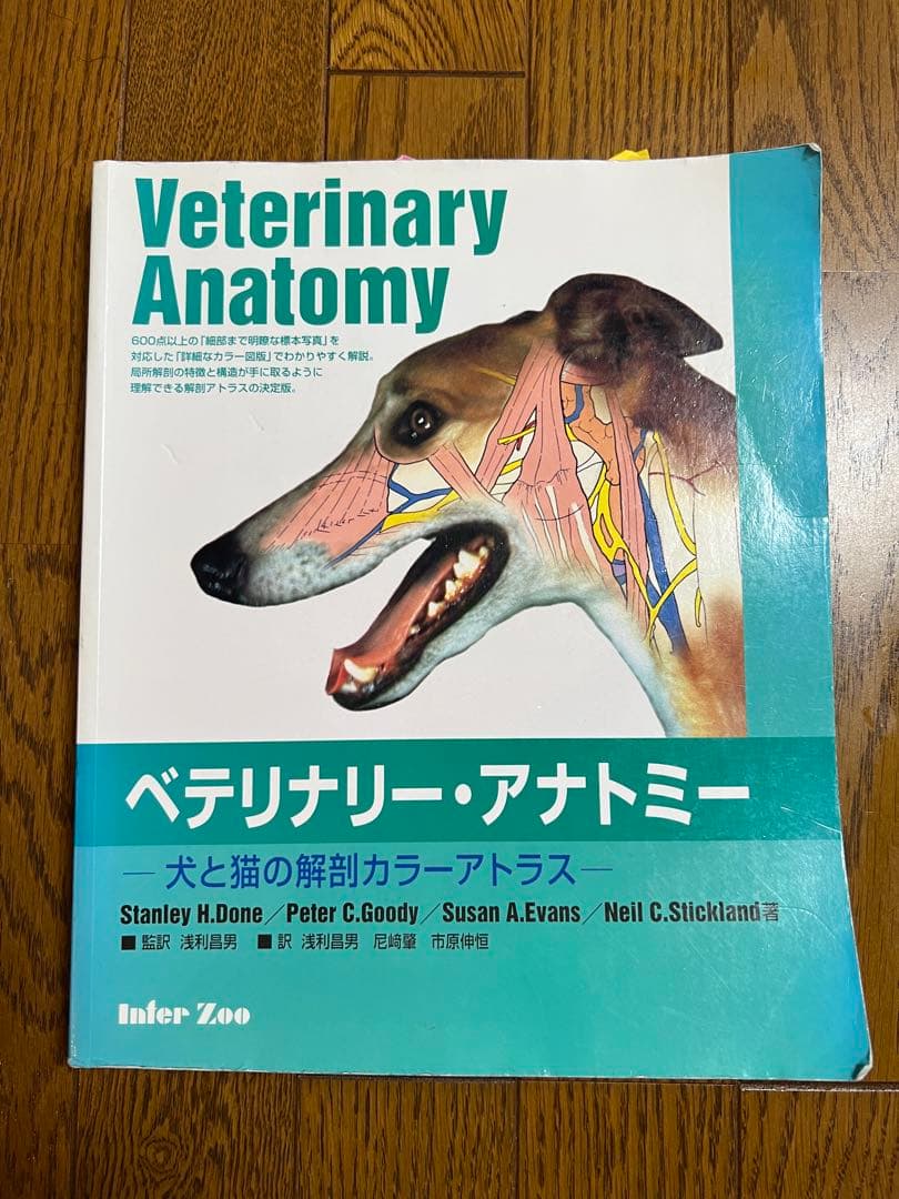 ベテリナリー・アナトミー　犬と猫の解剖カラーアトラス