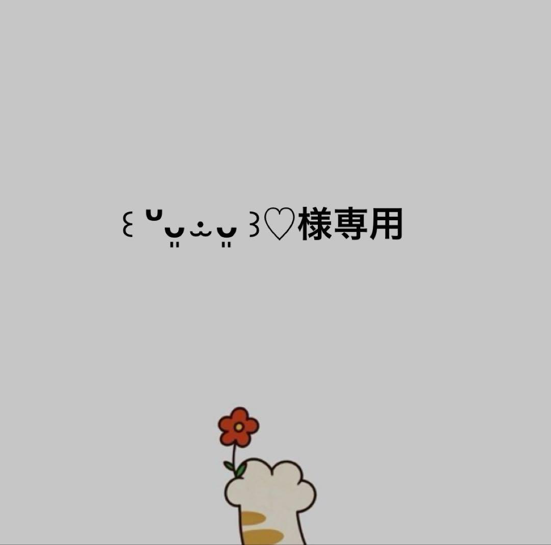 ★ ꒰ ᐡᴗ͈ ·̫ ᴗ͈ ꒱♡ 様専用★ウルフチャン着ぐるみ