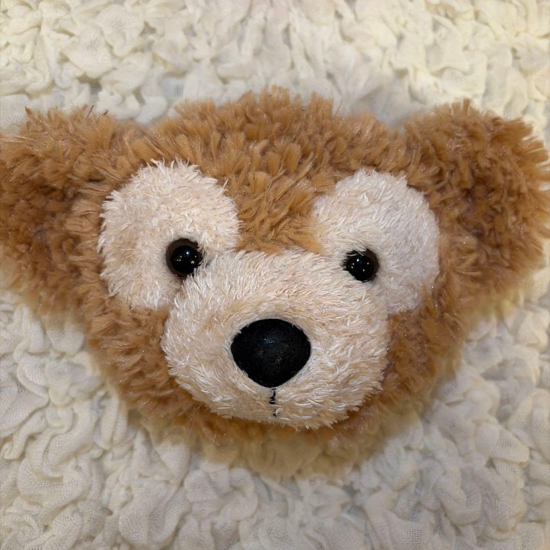 ディズニーカチューシャ 公式グッズ目立った傷や汚れなし