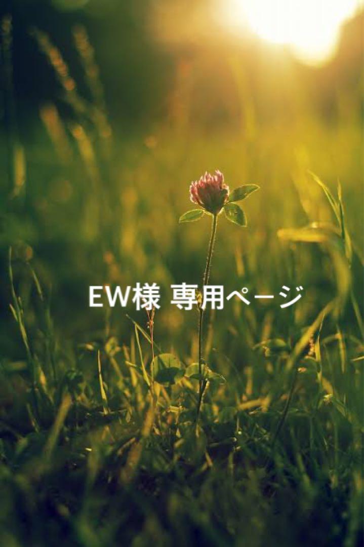 【 EW様 専用ページ 】