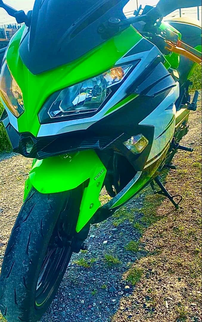 カワサキ ninja250カスタム 30周年記念車 EX250L 実働車 カワサキ ninja250カスタム 30周年記念車 EX250L 実働車