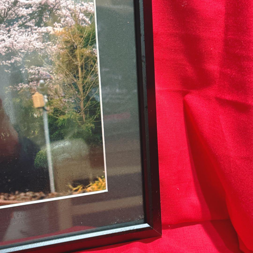 桜をかすめて走るサンライズエクスプレス 鉄道写真