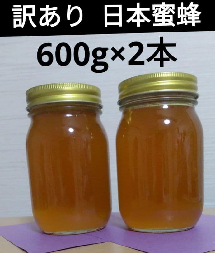 （訳あり）日本ミツバチの蜂蜜 600g×2本