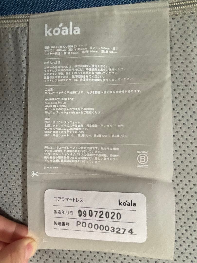 クイーンコアラ