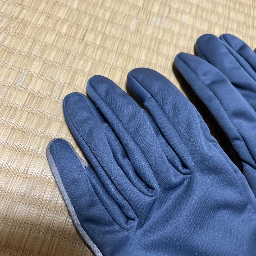RAPHAラファ プロチーム ウィンター グローブ　L