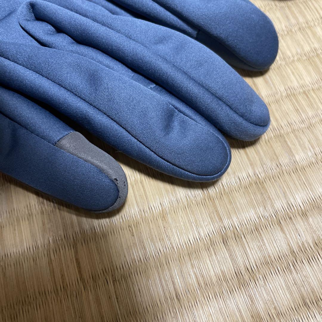 RAPHAラファ プロチーム ウィンター グローブ　L