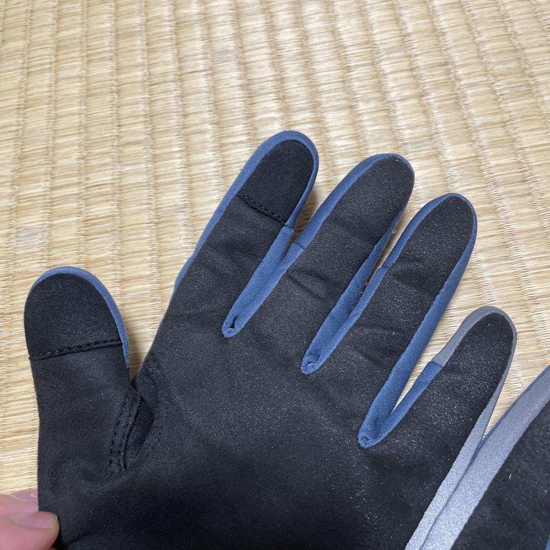 RAPHAラファ プロチーム ウィンター グローブ　L