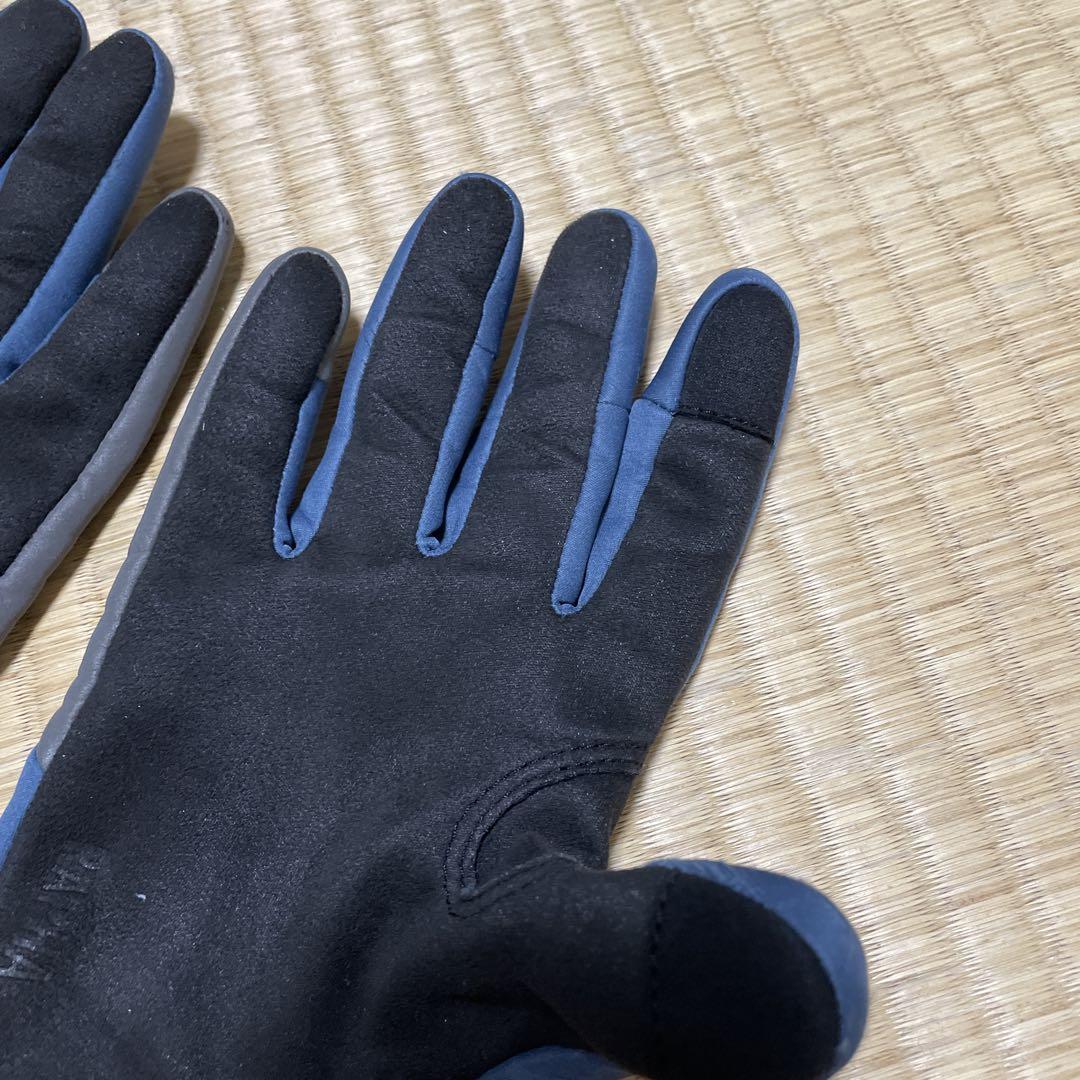 RAPHAラファ プロチーム ウィンター グローブ　L