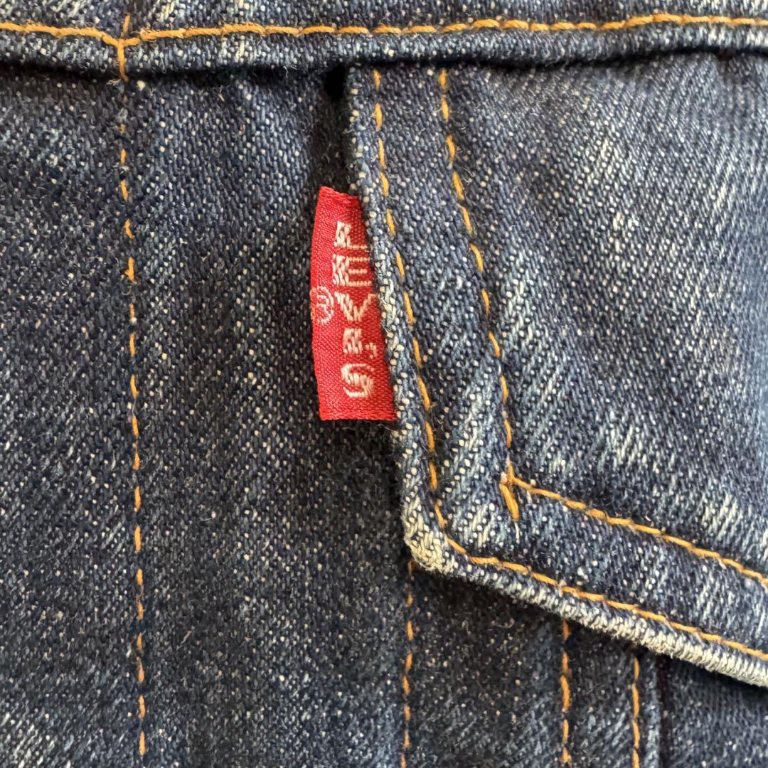 Levi's 70505 BIGE ビッグE ケアタグ　42