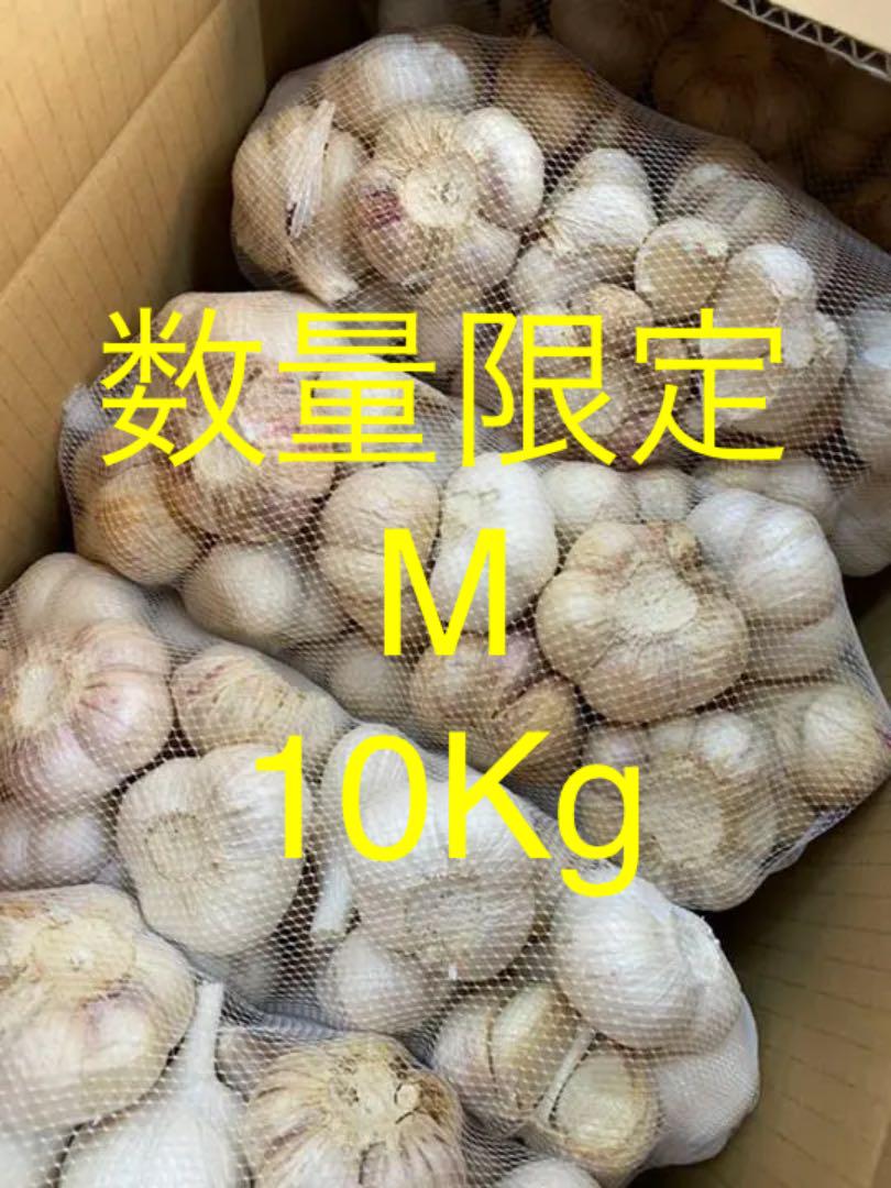 特別セーフ お買得 M 青森県にんにく10Kg - 野菜 特別セーフ お買得 M 青森県にんにく10Kg - 野菜