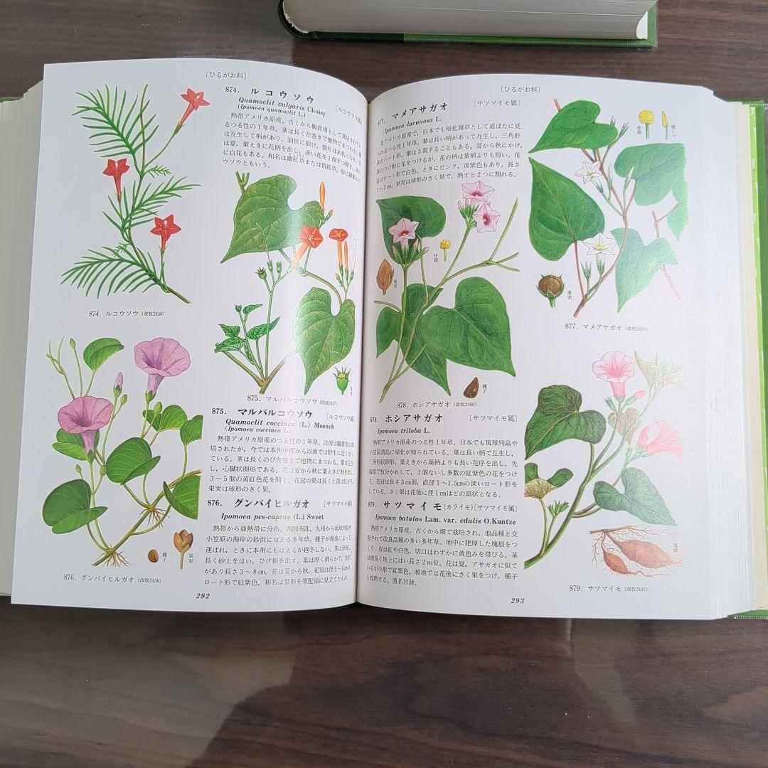 原色牧野植物大圖鑑2巻セット