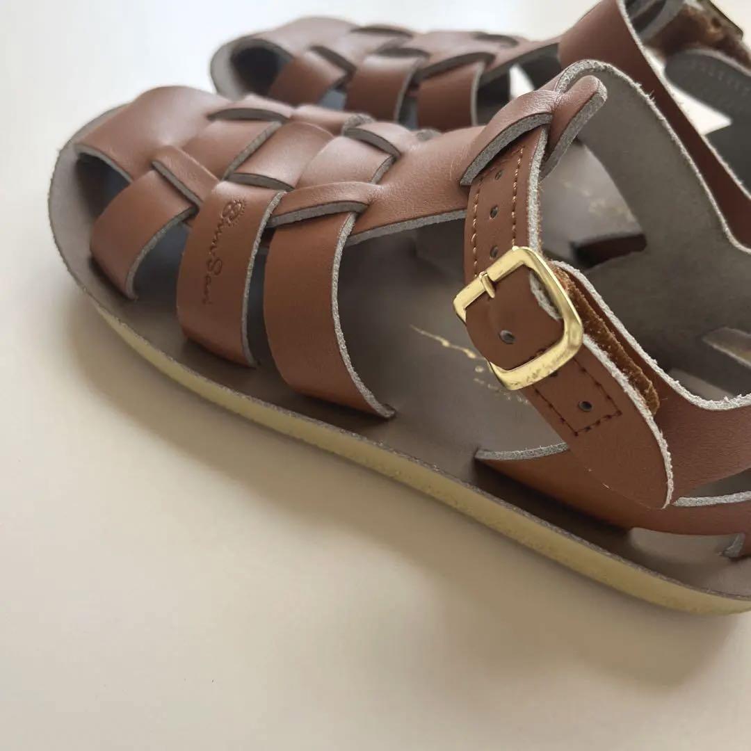 【美品】Salt Water Sandals ソルトウォーター Shark 12