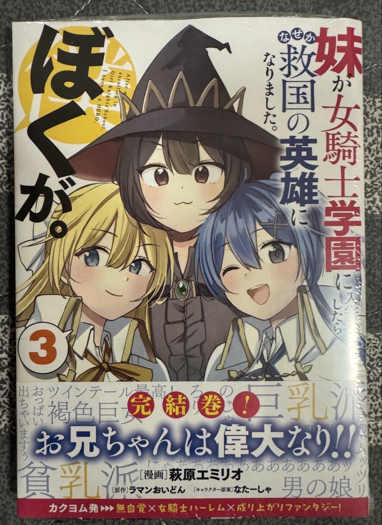 妹が女騎士學(xué)園に入學(xué)したらなぜか救國の英雄になりました。ぼくが。 3巻