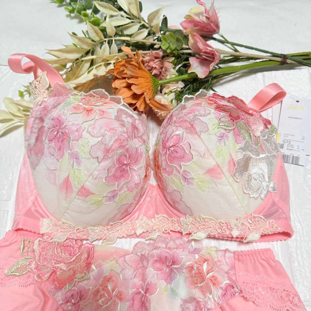 新品】wacoal サルート 06グループ ブラ ショーツセットG75L PI - メルカリ