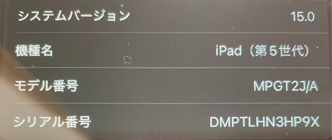 サイズ︵ iPad 32GB WiFiモデル pOIBT-m19028709284 第5世代 せんので
