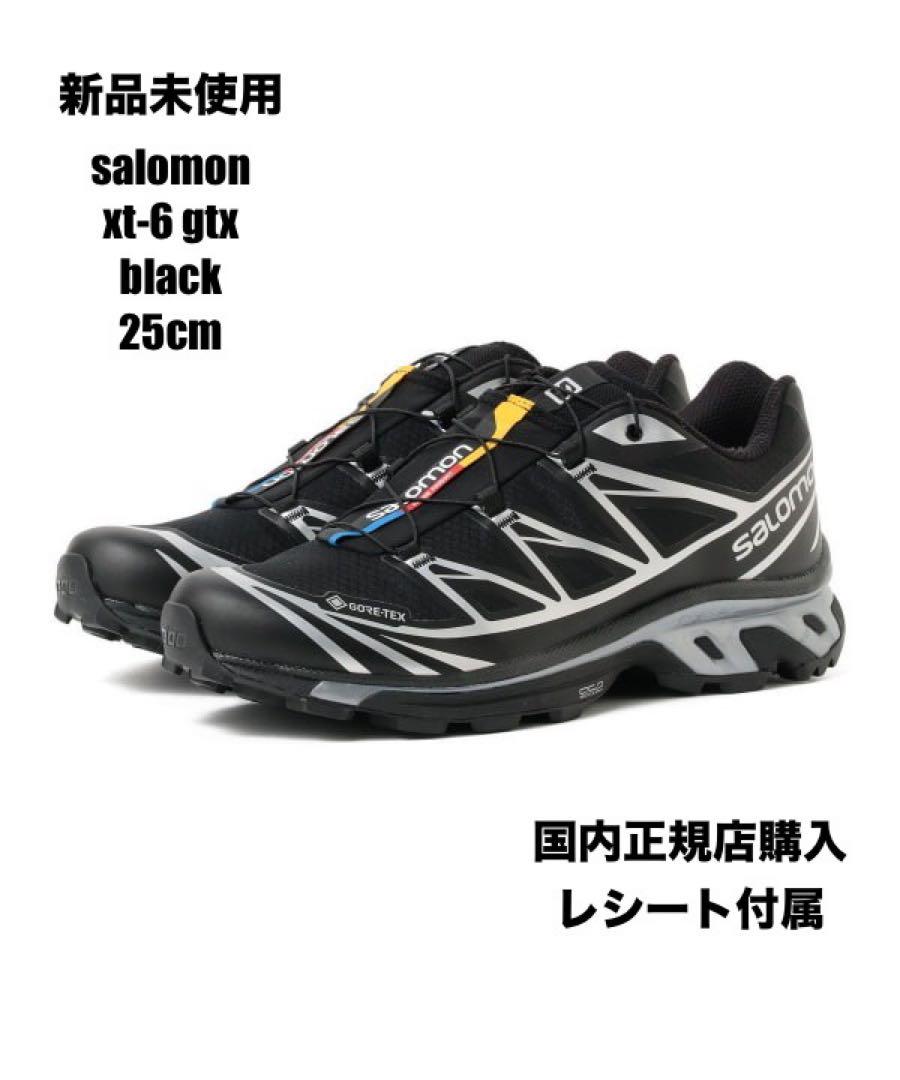 新品未使用 サロモンxt-6 gtx ブラック 25cm フリークスストア購入 靴