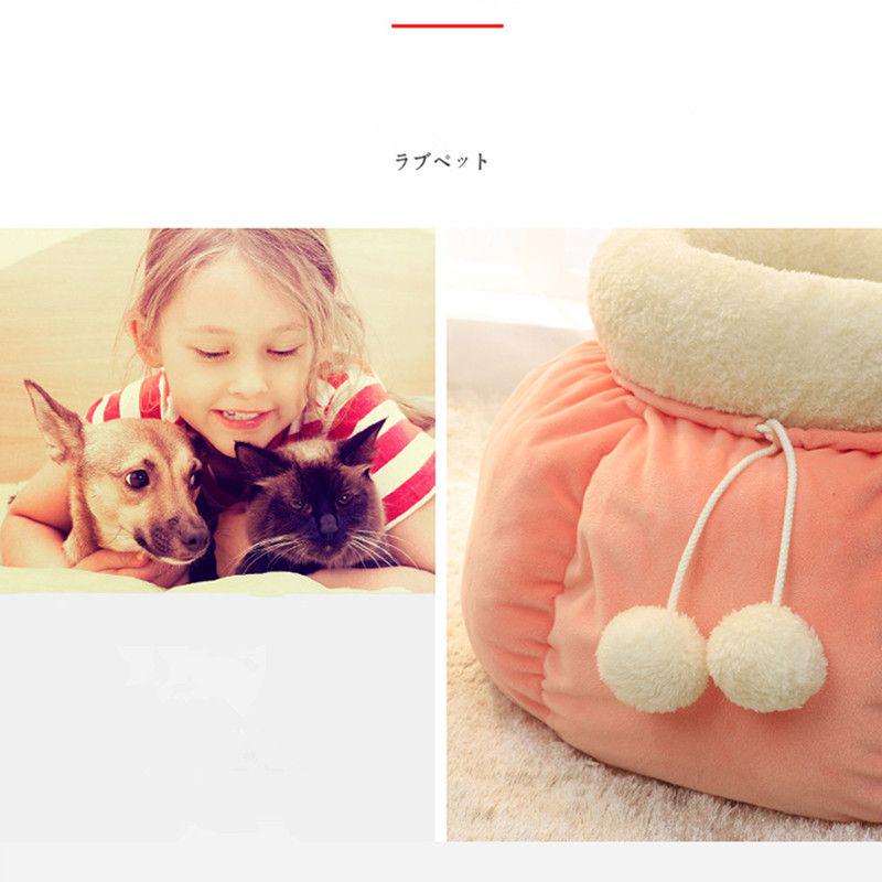 猫の家の冬の暖かくて閉じて深い眠り