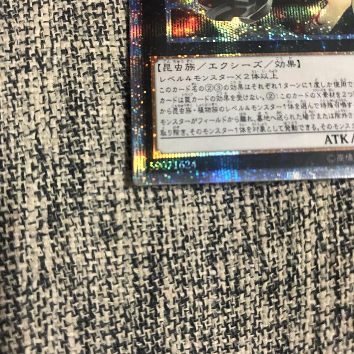 状態A-〕☆アジア☆アロメルスの蟲惑魔【20thシークレット