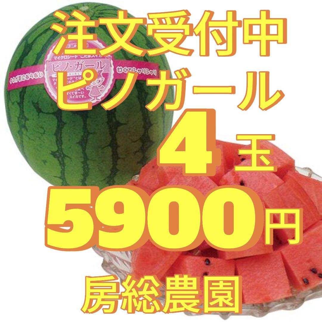 ③５９００円・４玉・注文受付中・第３弾・ピノガール「小玉スイカランキング第１位」