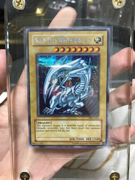 遊戯王 青眼の白龍 DDS シクブル rsuganesha.com