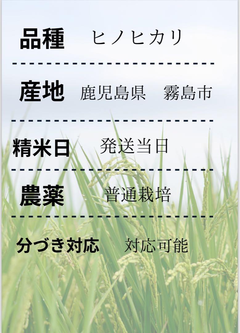 新米　10kg 20Kg