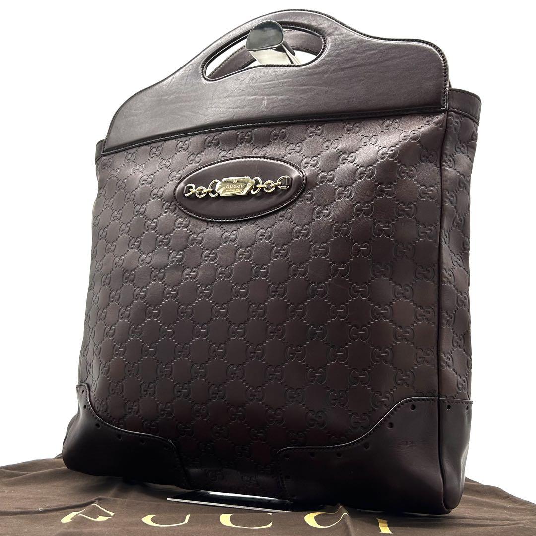 希少 美品】グッチ トートバッグ ホースビット シマ オール