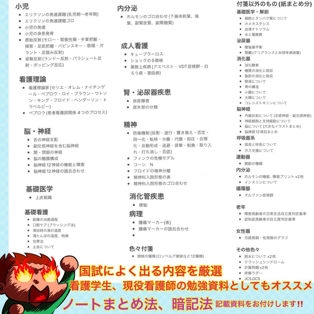 激安‼️ 看護師国家試験まとめノート 付箋ノート 国試 解剖生