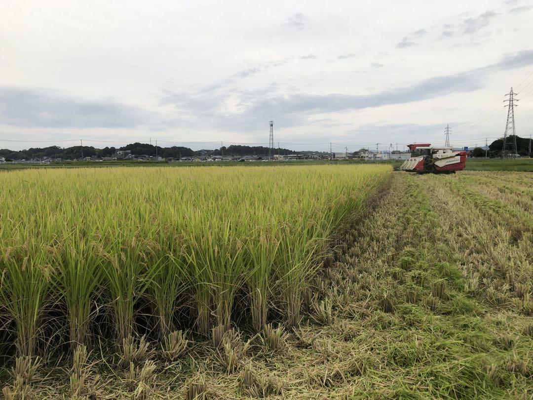 新米:令6年産茨城コシヒカリ玄米30キロ　送料込