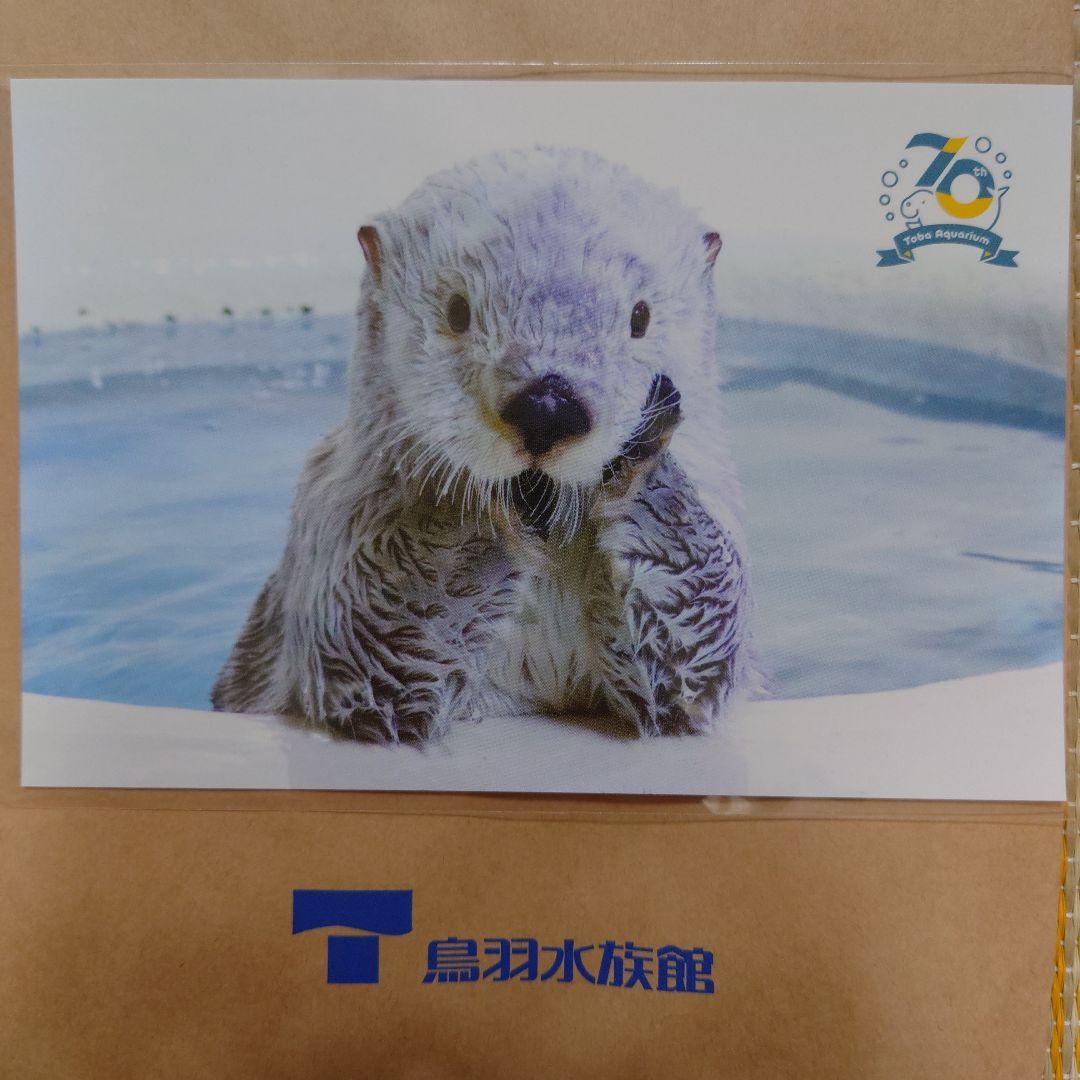 鳥羽水族館 70周年記念 ポストカード ラッコ メイ キラ