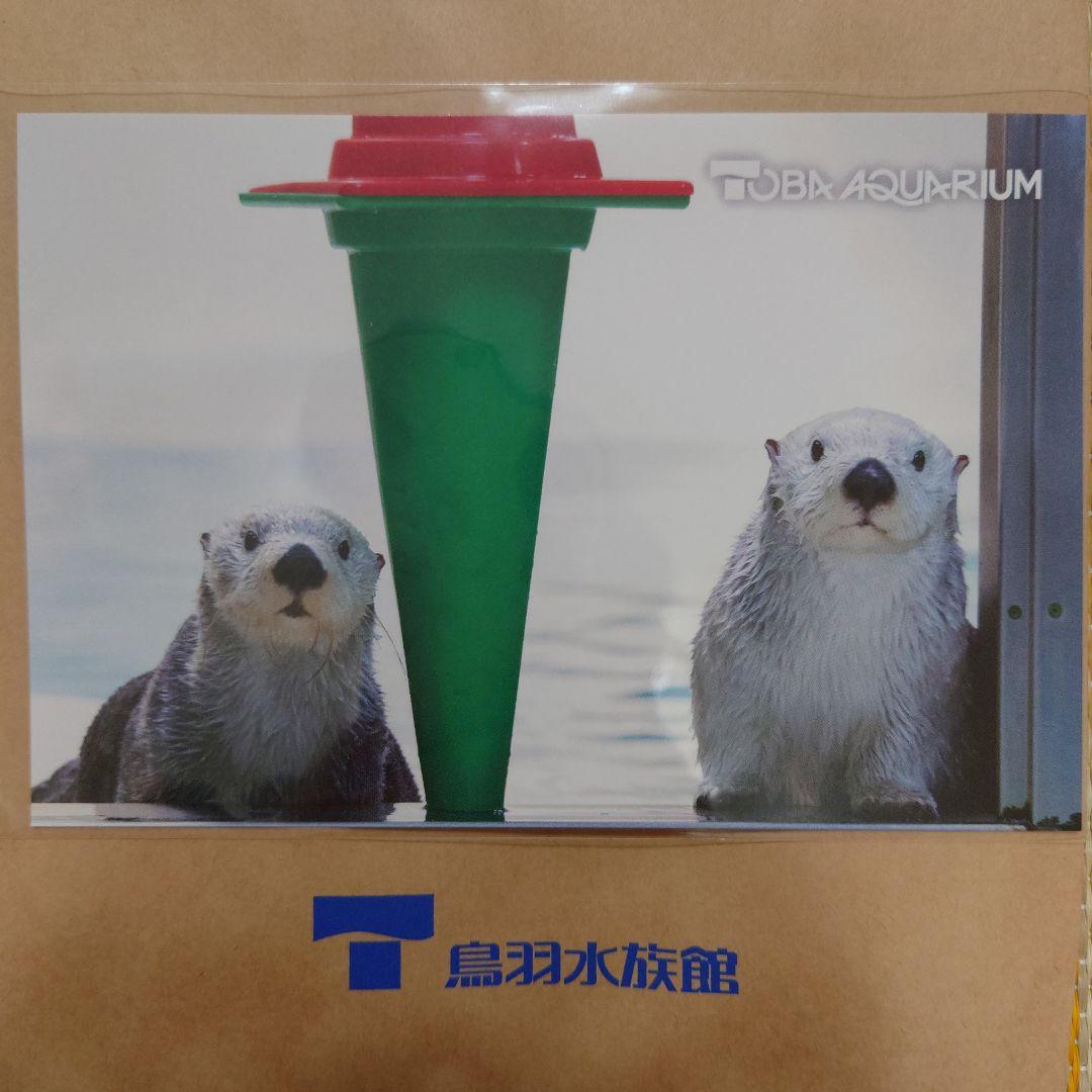 鳥羽水族館⭐️70周年⭐️ポスター⭐️ラッコ Amazon.co.jp: 鳥羽水族館 70周年記念チラシ ラッコ キラ 3枚
