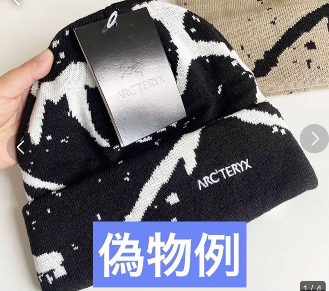 国内正規品 アークテリクス ライトウェイトグロットトーク Orca 黒白