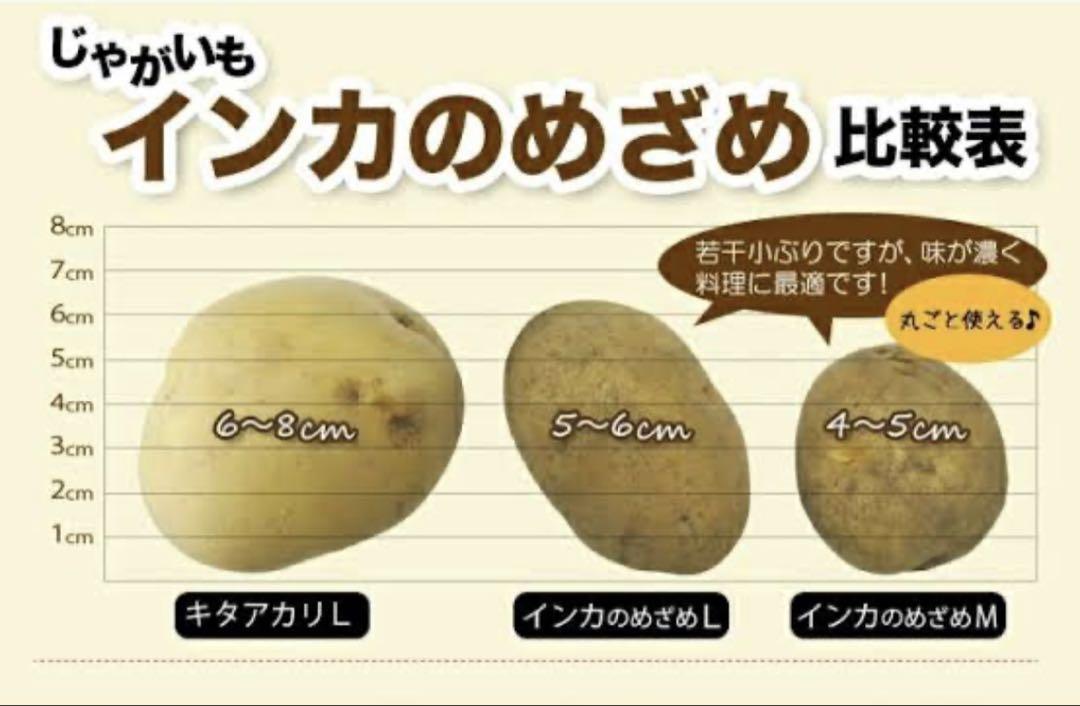 北海道　熟成じゃがいも　インカのめざめML 10kg ジャガイモ　芋