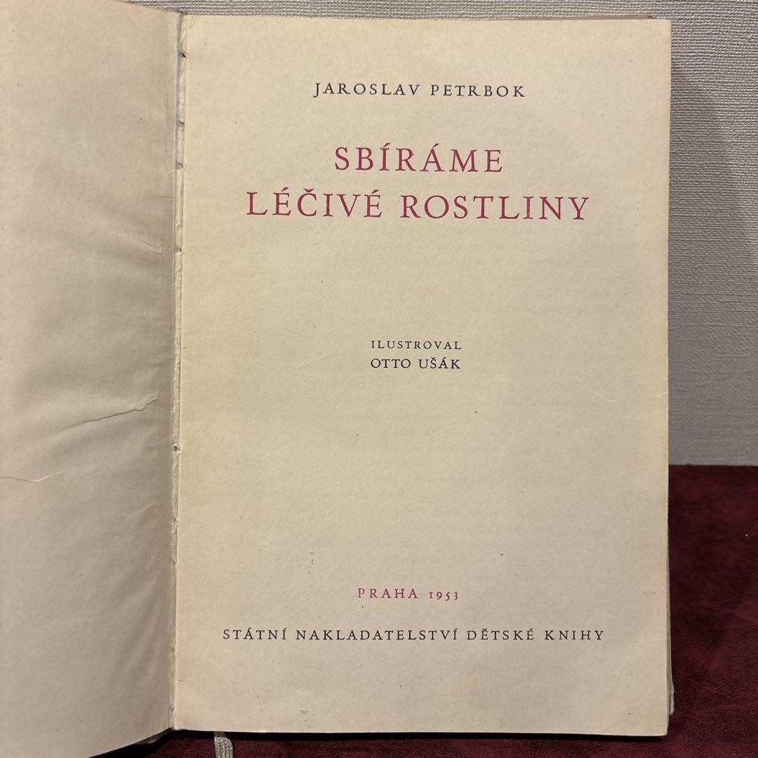 美品】1995年 お洒落なフランスの植物図鑑 洋書 古書【希少】