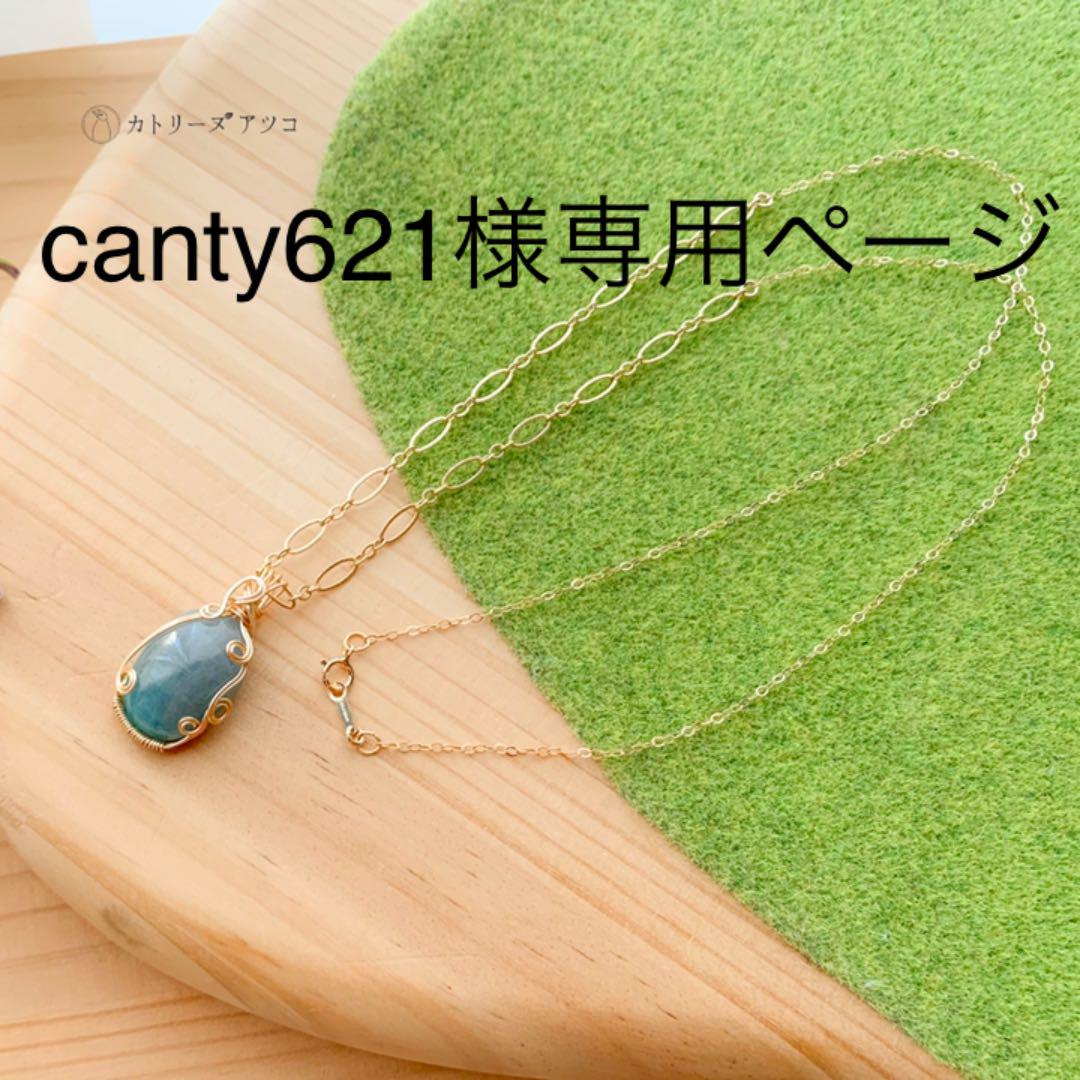 セット特価 ⭐︎canty621様専用⭐︎天然石パライバトルマリンのネックレス SALE15%|ネックレス - www.rustavi.gov.ge セット特価 ⭐︎canty621様専用⭐︎天然石パライバトルマリンのネックレス SALE15%|ネックレス - www.rustavi.gov.ge