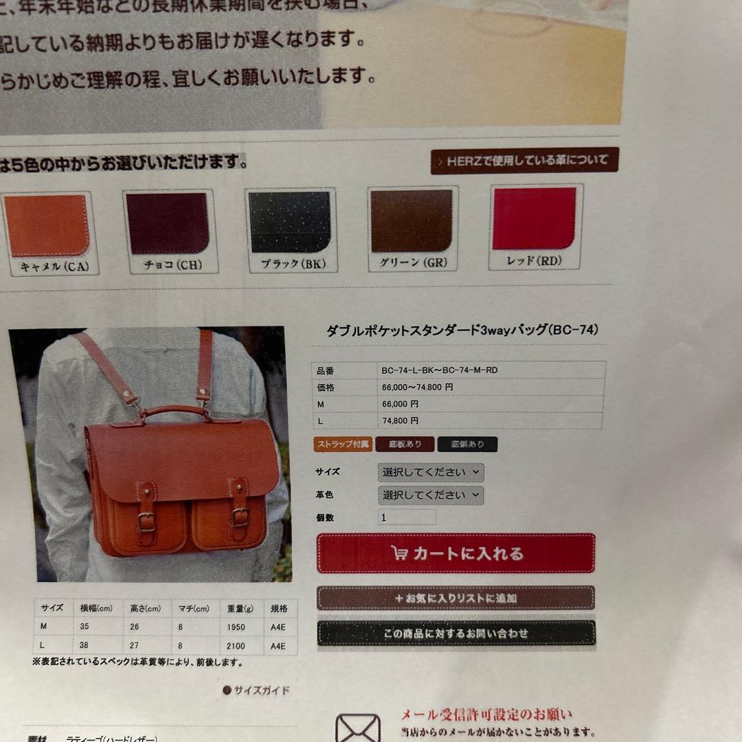 ダブルポケット 3wayバッグ目立った傷や汚れなし