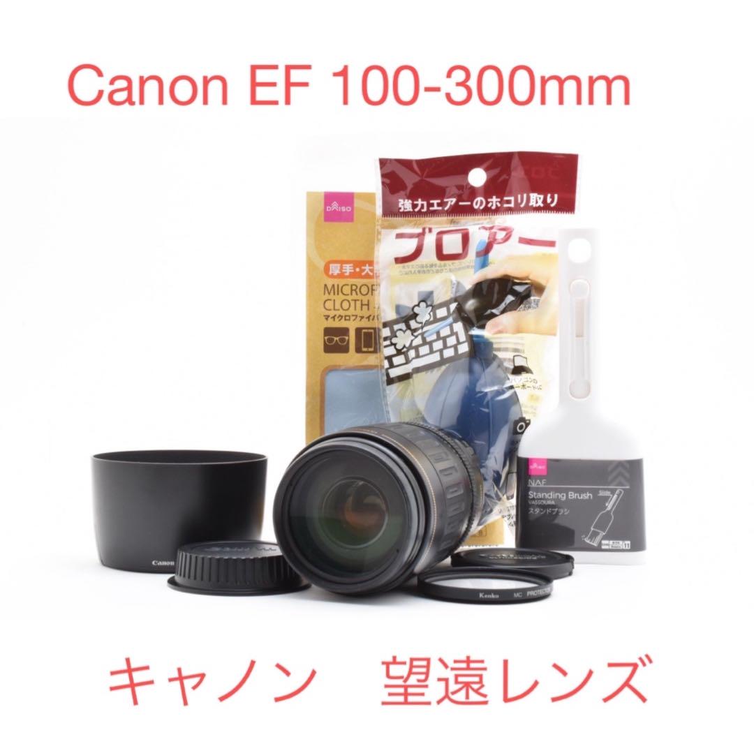 キャノン 望遠レンズ Canon EF 100-300mm - メルカリ