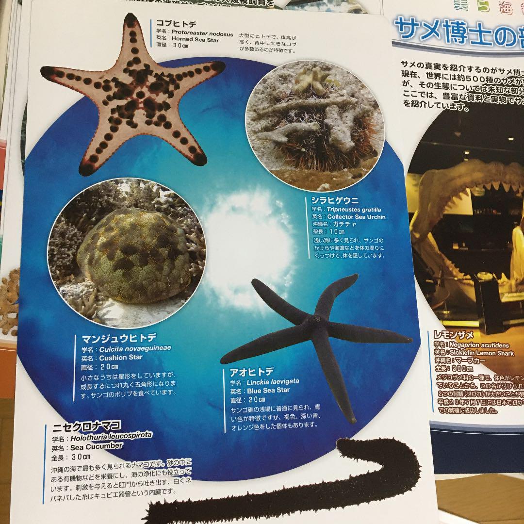 メルカリ 美ら海水族館 観察ガイドカードセット 魚と珊瑚礁 自由研究検索深海魚下敷きサイズ 本 450 中古や未使用のフリマ