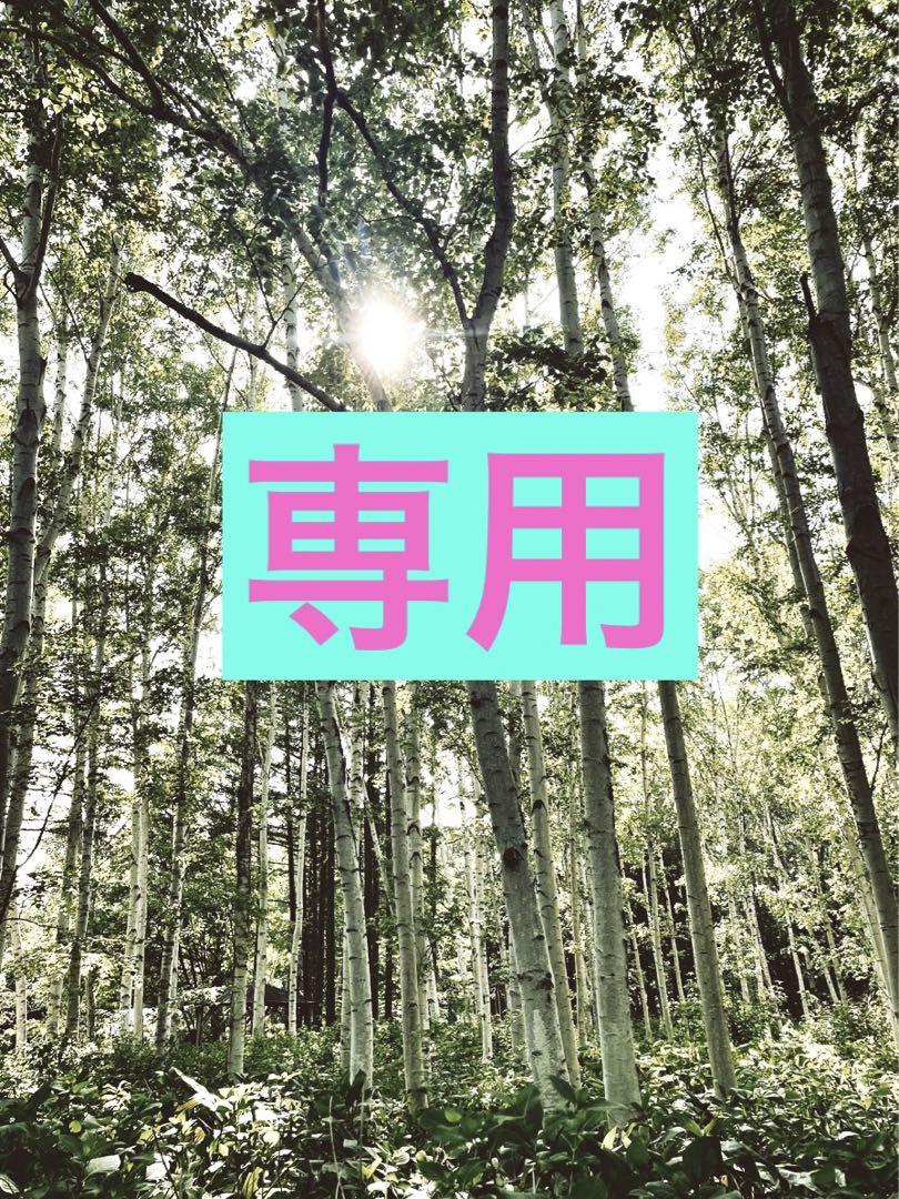 全商品オープニング価格 特別価格】 KAYUNA ブレスレット - oshbenesov.cz