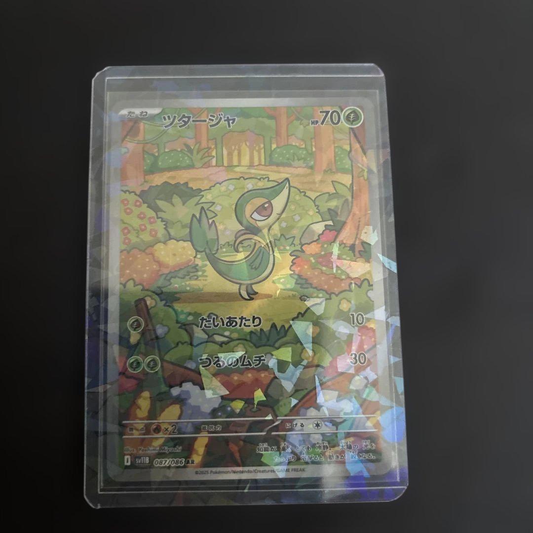 ポケモンカード　ツタージャ　042 bw プロモ　ポケモンフェア　psa10 最新人気 ポケモンカード ツタージャ psa10 ポケモンフェア