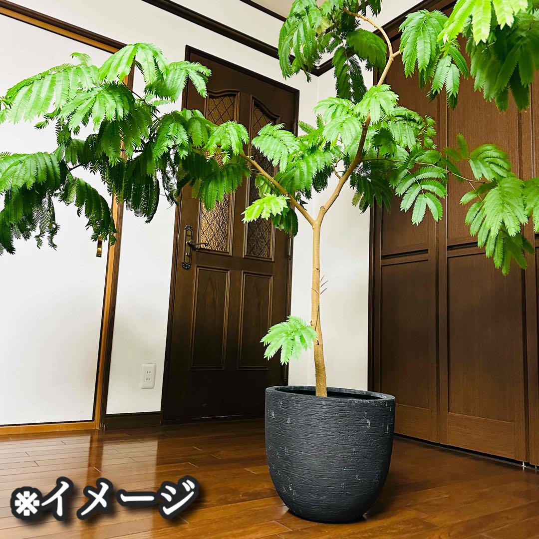 【アクタス/鉢カバー】 アジアンテイスト プランターカバー 植木鉢 大型