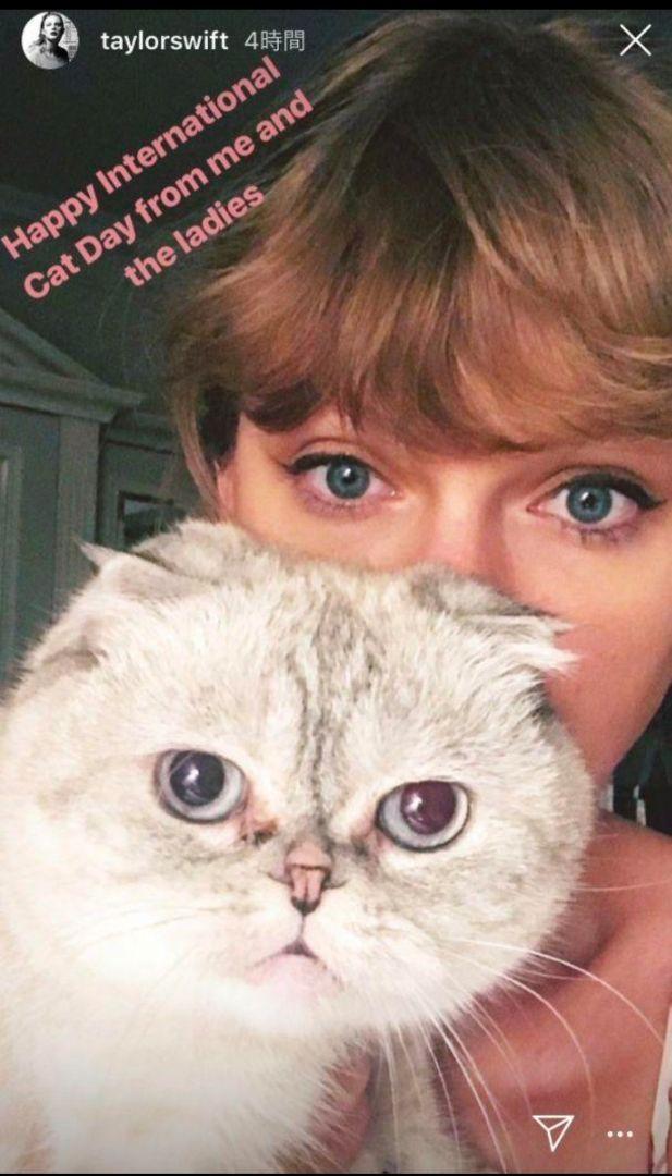 Taylor Swift テイラー スウィフト 愛猫 ピンバッジ2種類セット