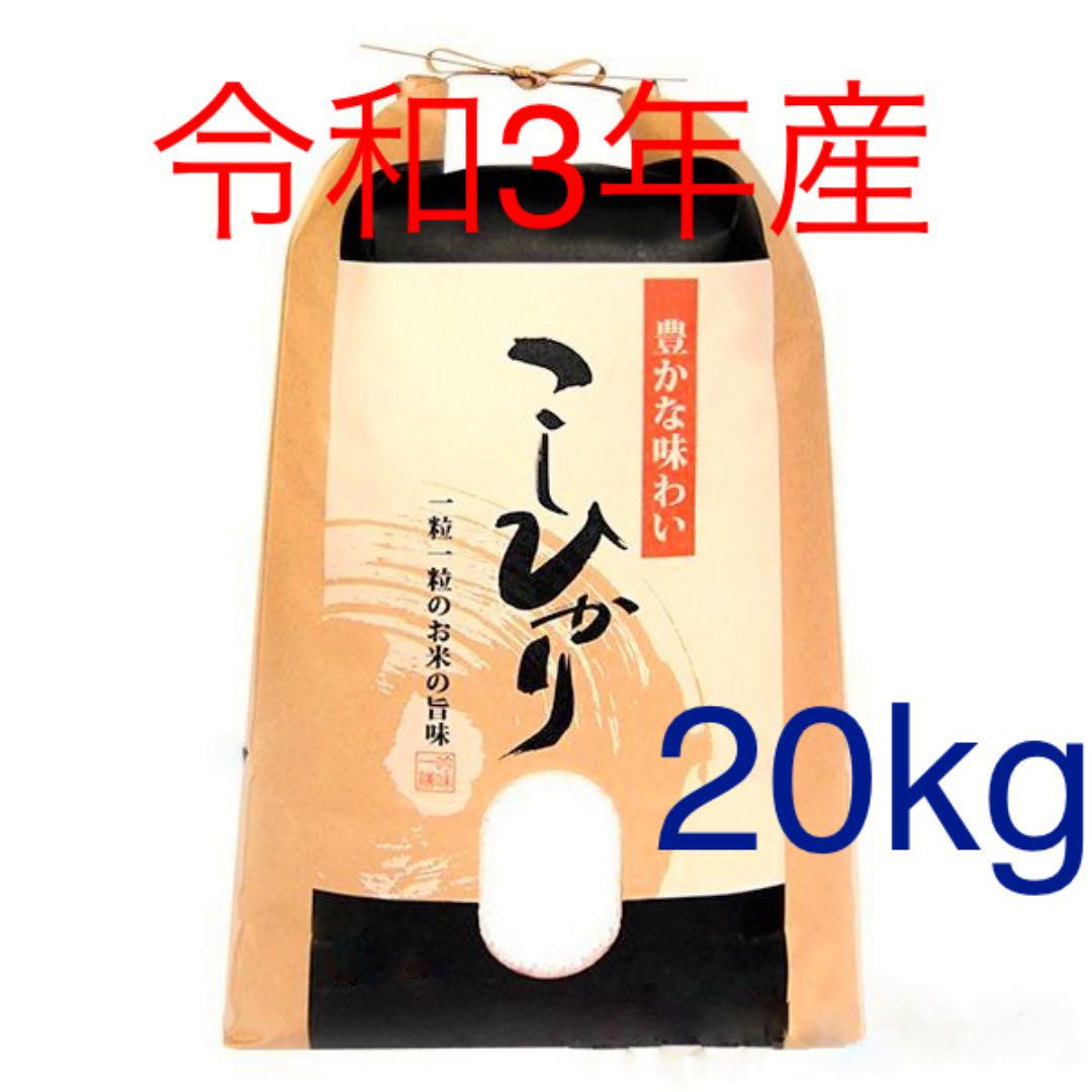 農家直送1等米20kg（10Kg✖️2個）♪令和3年産コシヒカリ