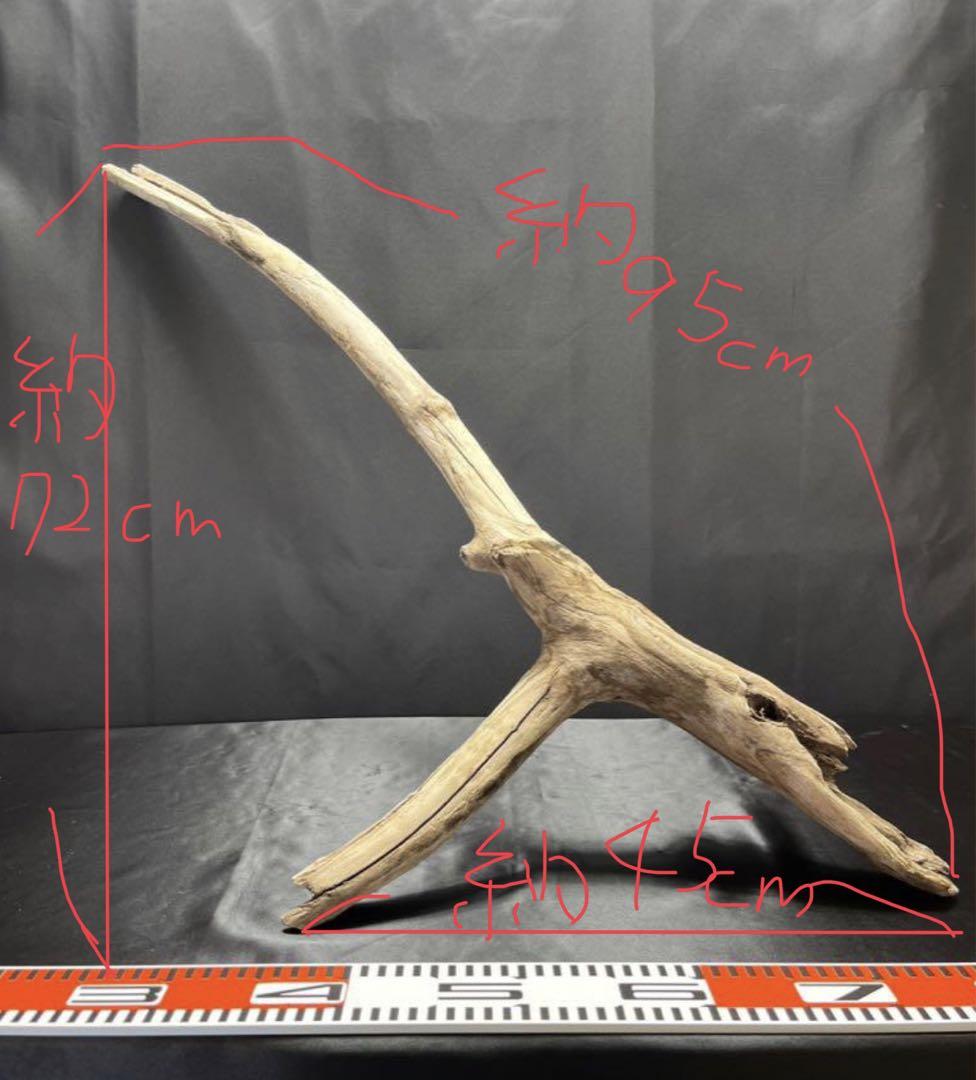 流木 約95cm x 約72cm x 約45cm