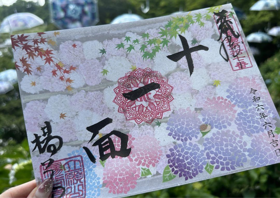 楊谷寺♡新西国三十三箇所第17番礼／新作／紫陽花ウィーク限定／仏縁御朱印