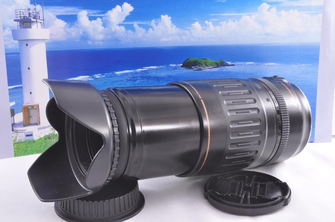 望遠レンズ 大切な記録を望遠で Canon キヤノン EF100-300mm#④ 望遠レンズ 大切な記録を望遠で Canon キヤノン EF100-300mm#9